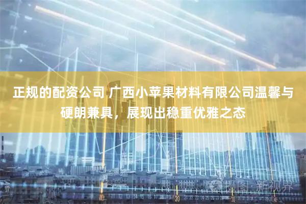 正规的配资公司 广西小苹果材料有限公司温馨与硬朗兼具，展现出稳重优雅之态