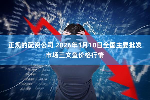 正规的配资公司 2026年1月10日全国主要批发市场三文鱼价格行情
