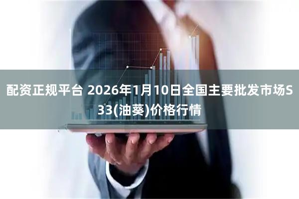 配资正规平台 2026年1月10日全国主要批发市场S33(油葵)价格行情
