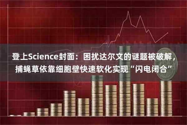 登上Science封面:困扰达尔文的谜题被破解,捕蝇草依靠细胞壁快速软化实现“闪电闭合”
