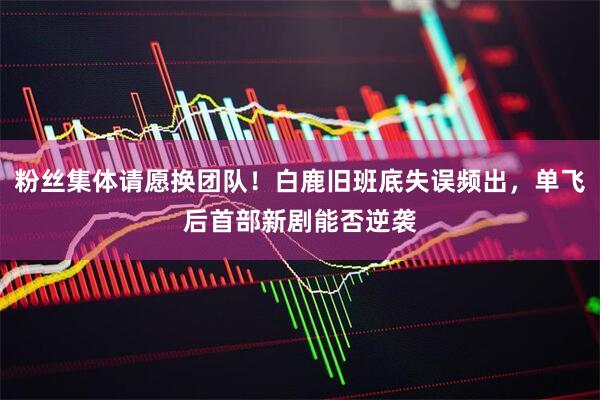 粉丝集体请愿换团队!白鹿旧班底失误频出,单飞后首部新剧能否逆袭